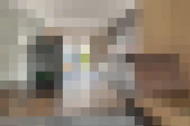 Penningkruid 22 Uitgeest thumbnail 16