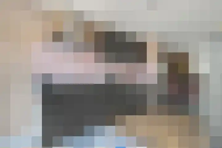 Penningkruid 22 Uitgeest thumbnail 17