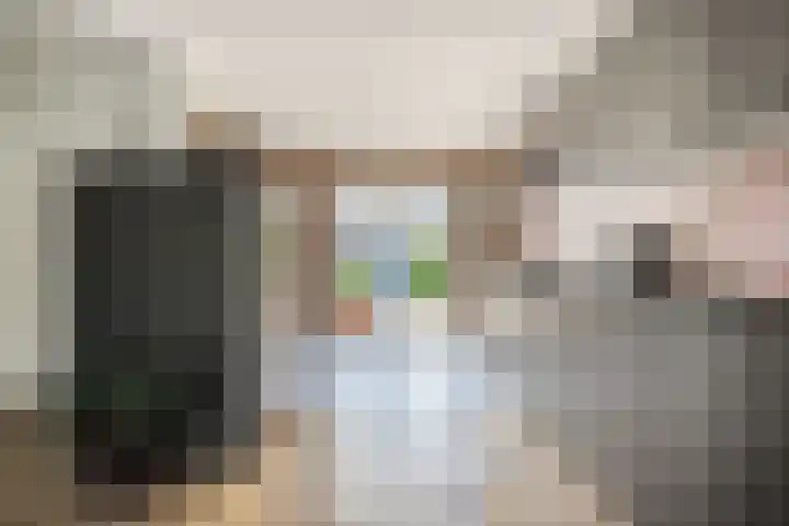 Penningkruid 22 Uitgeest thumbnail 19