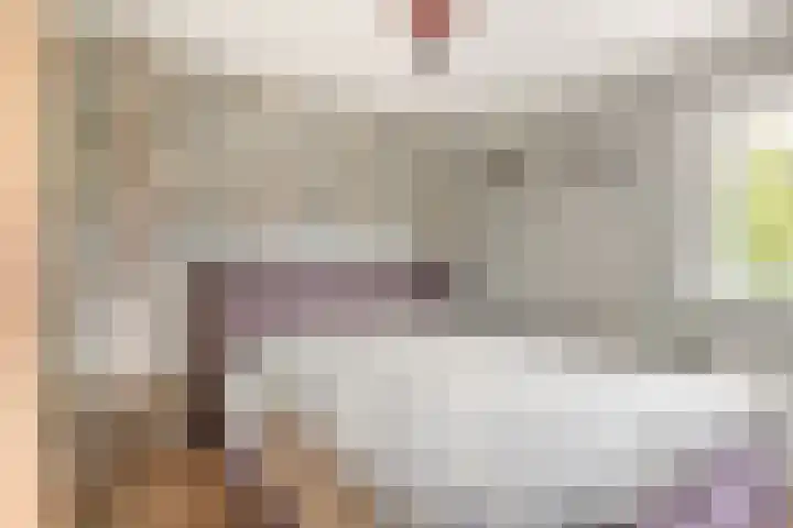 Penningkruid 22 Uitgeest thumbnail 24