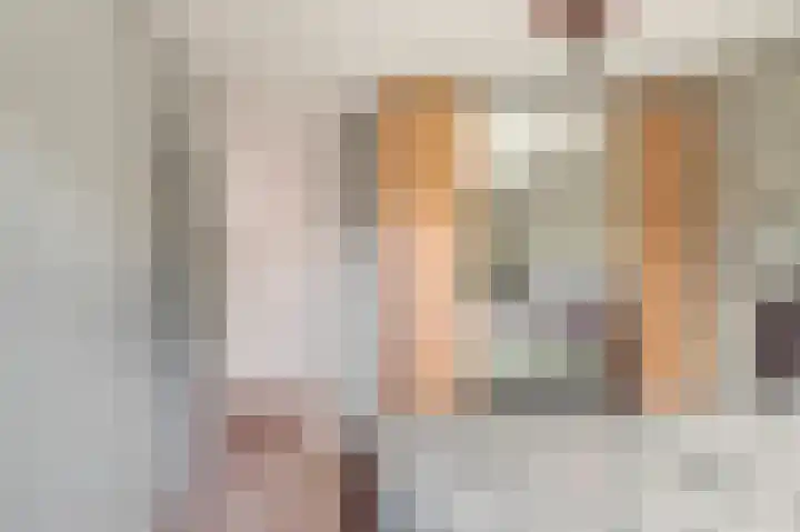 Penningkruid 22 Uitgeest thumbnail 25