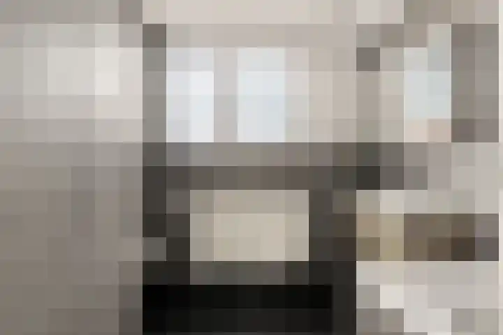Penningkruid 22 Uitgeest thumbnail 31
