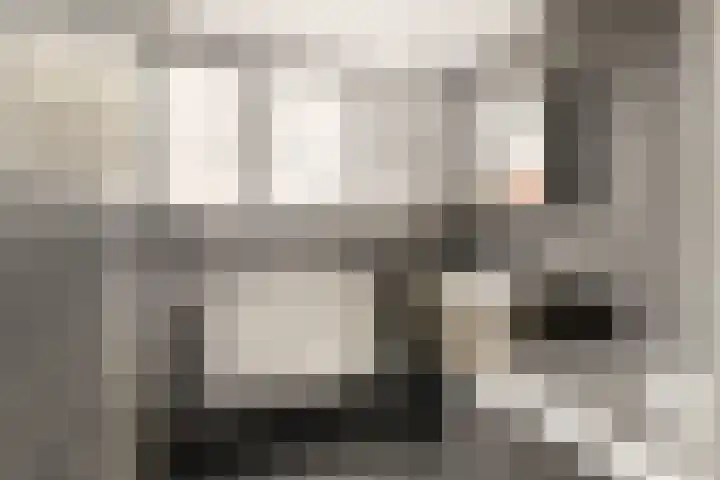 Penningkruid 22 Uitgeest thumbnail 32