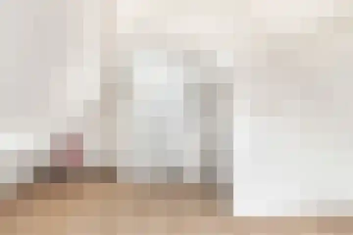 Penningkruid 22 Uitgeest thumbnail 36