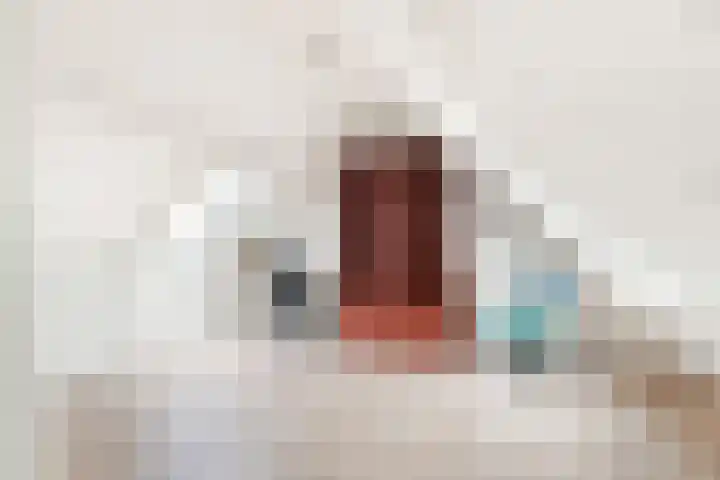 Penningkruid 22 Uitgeest thumbnail 37