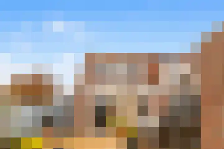 Penningkruid 22 Uitgeest thumbnail 40