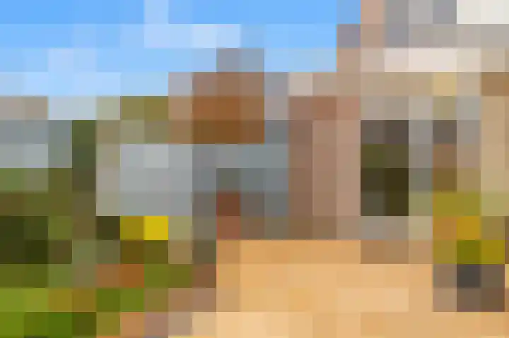 Penningkruid 22 Uitgeest thumbnail 41