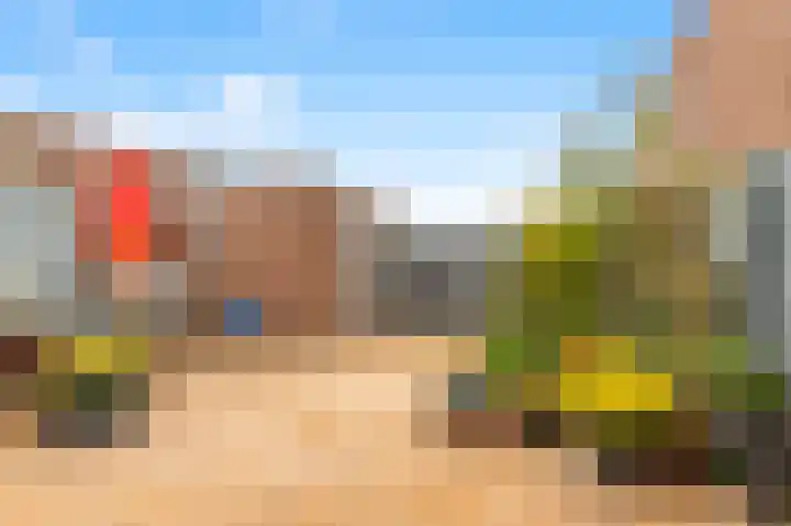 Penningkruid 22 Uitgeest thumbnail 42