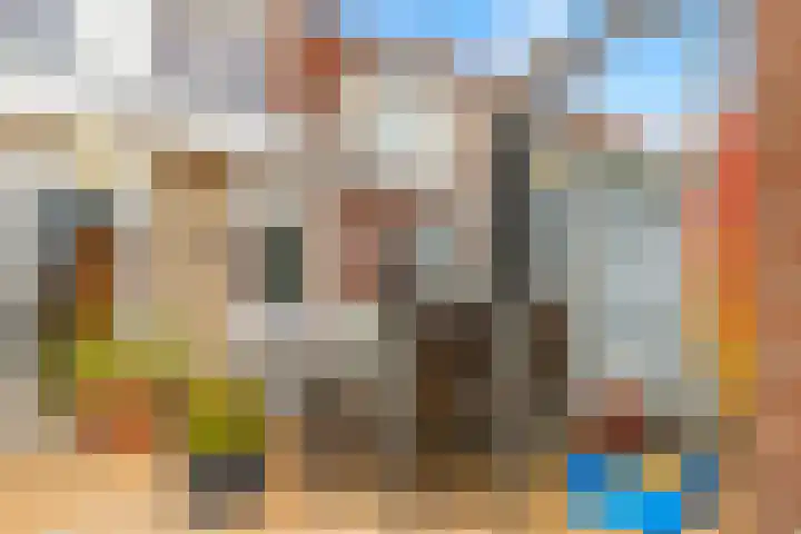 Penningkruid 22 Uitgeest thumbnail 44