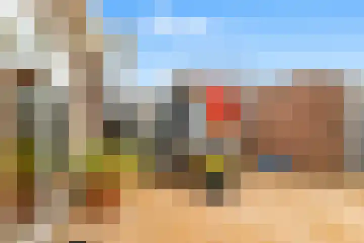 Penningkruid 22 Uitgeest thumbnail 45
