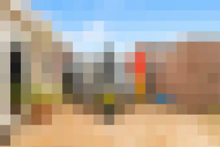 Penningkruid 22 Uitgeest thumbnail 46