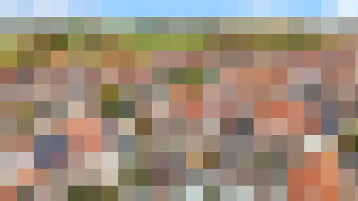 Penningkruid 22 Uitgeest thumbnail 48