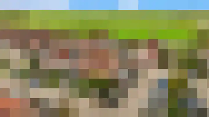 Penningkruid 22 Uitgeest thumbnail 49
