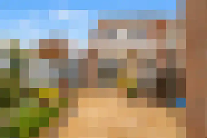 Penningkruid 22 Uitgeest thumbnail 5