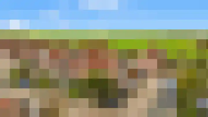 Penningkruid 22 Uitgeest thumbnail 50