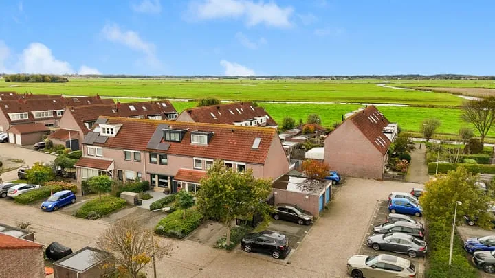Penningkruid 22 Uitgeest thumbnail 50