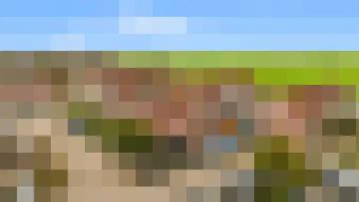 Penningkruid 22 Uitgeest thumbnail 51
