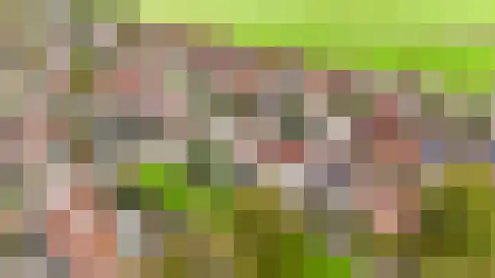 Penningkruid 22 Uitgeest thumbnail 52