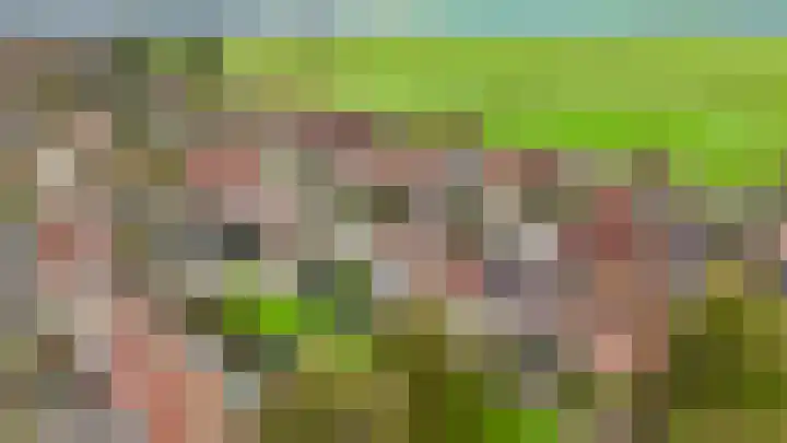 Penningkruid 22 Uitgeest thumbnail 53