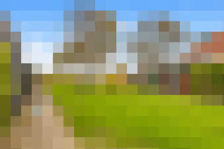 Penningkruid 22 Uitgeest thumbnail 54