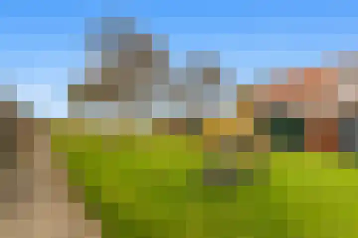Penningkruid 22 Uitgeest thumbnail 55