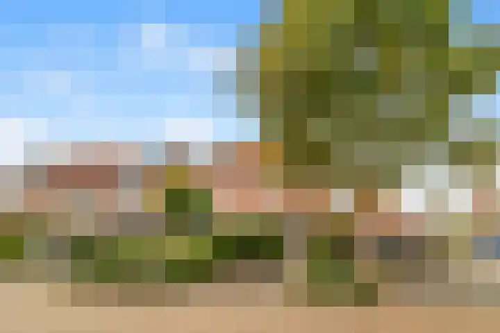 Penningkruid 22 Uitgeest thumbnail 6