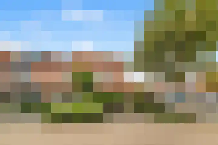 Penningkruid 22 Uitgeest thumbnail 7