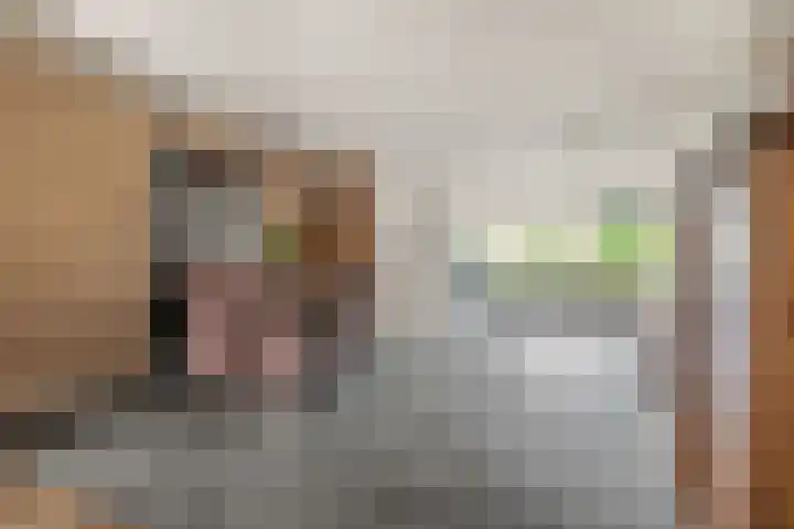 Penningkruid 22 Uitgeest thumbnail 8
