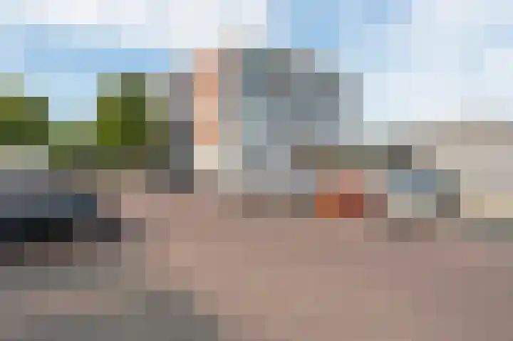 Penningkruid 23 Kampen thumbnail 7