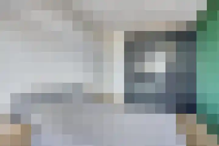 Penningkruid 24 Kampen thumbnail 10