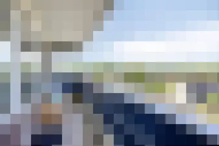 Penningkruid 24 Kampen thumbnail 15