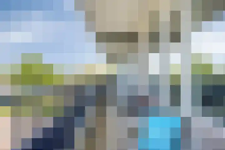 Penningkruid 24 Kampen thumbnail 16