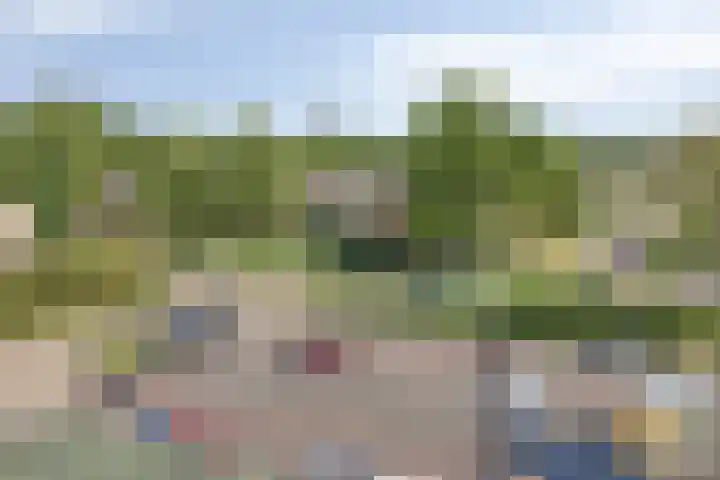 Penningkruid 24 Kampen thumbnail 17