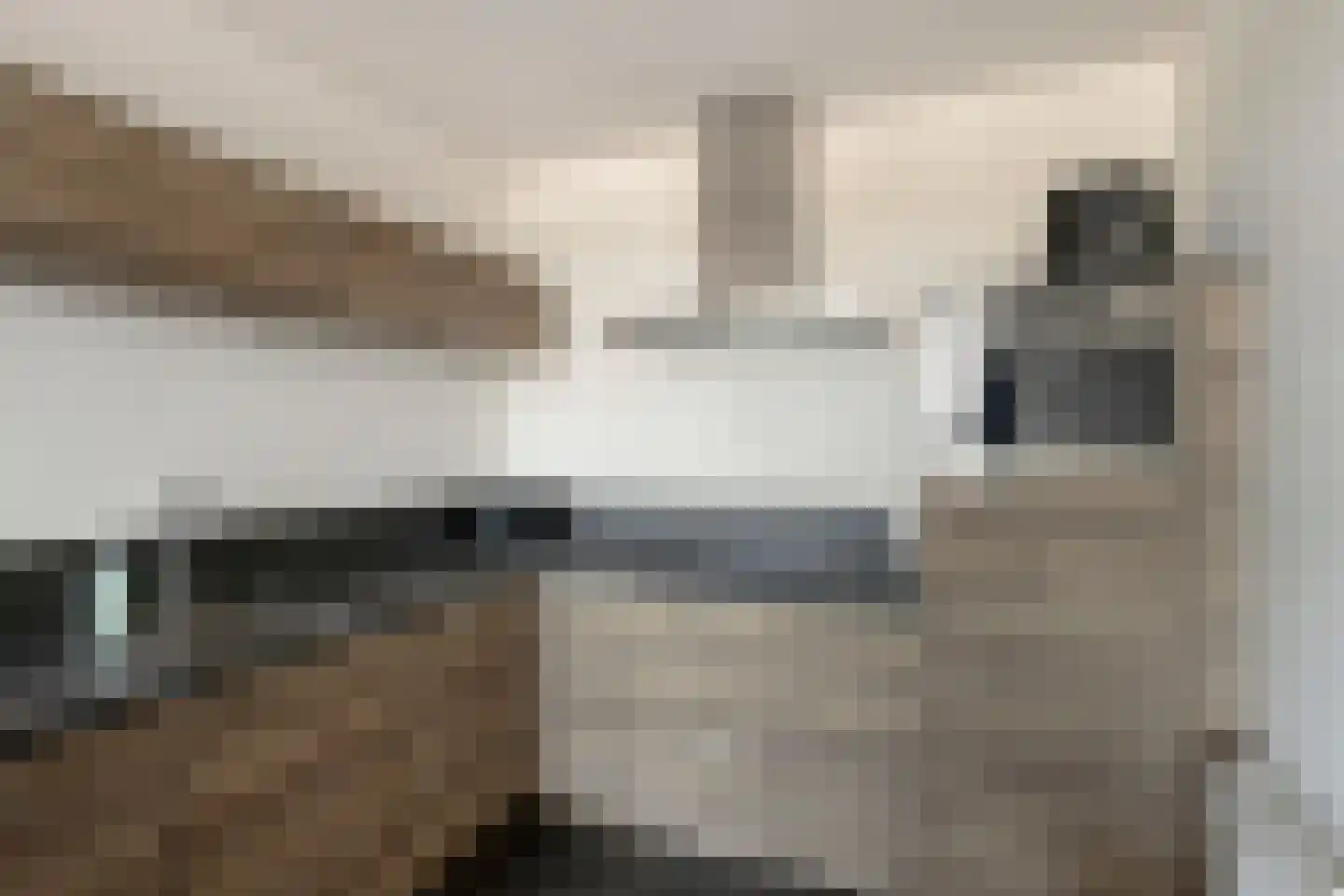 Penningkruid 24 Kampen thumbnail 25