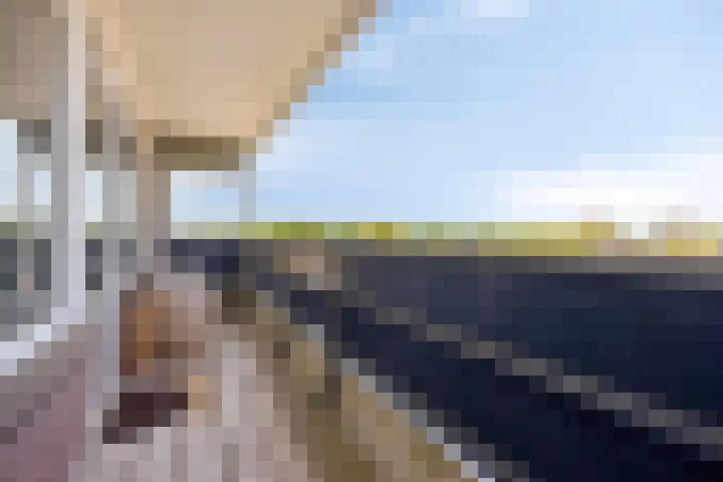 Penningkruid 24 Kampen thumbnail 32