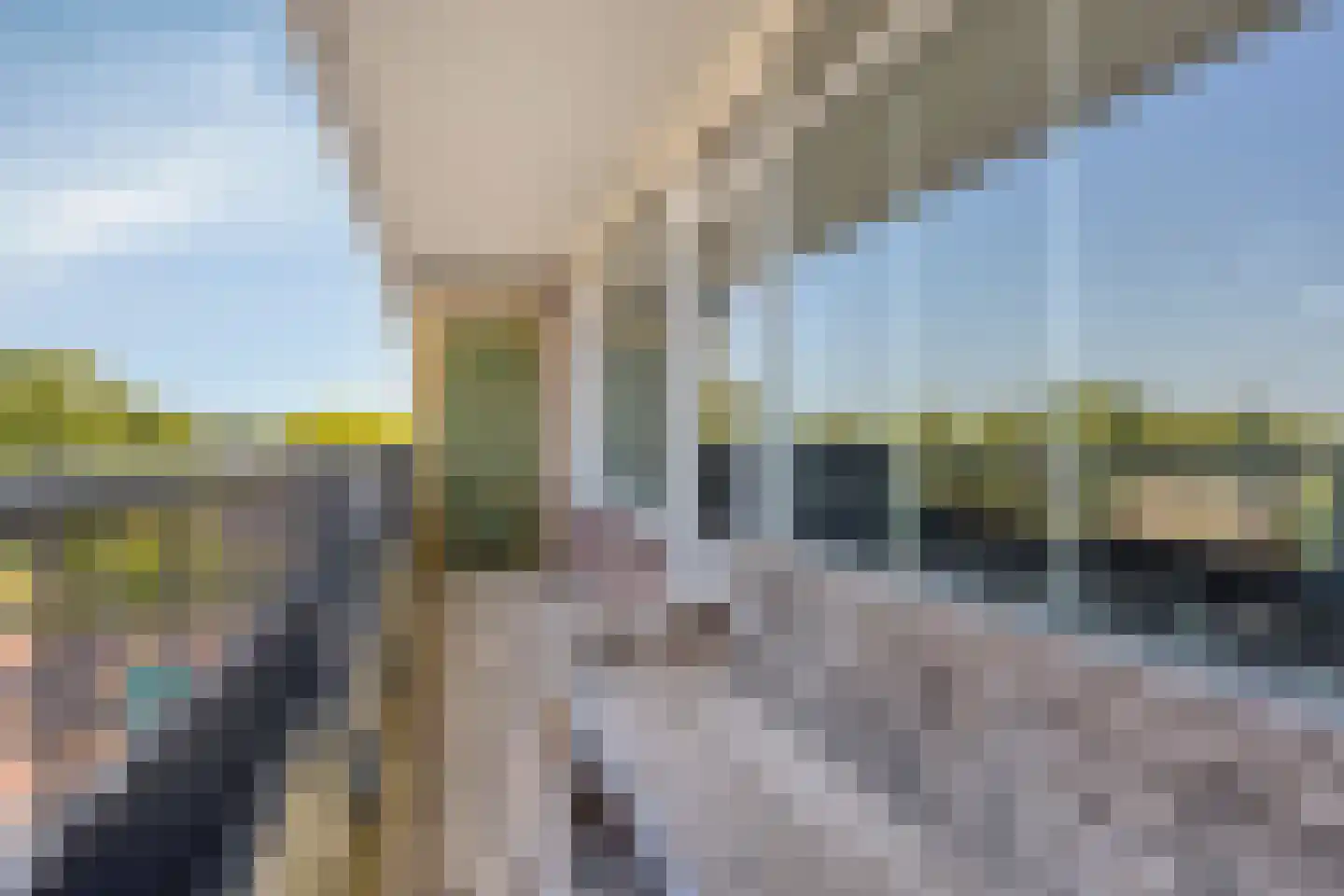 Penningkruid 24 Kampen thumbnail 33