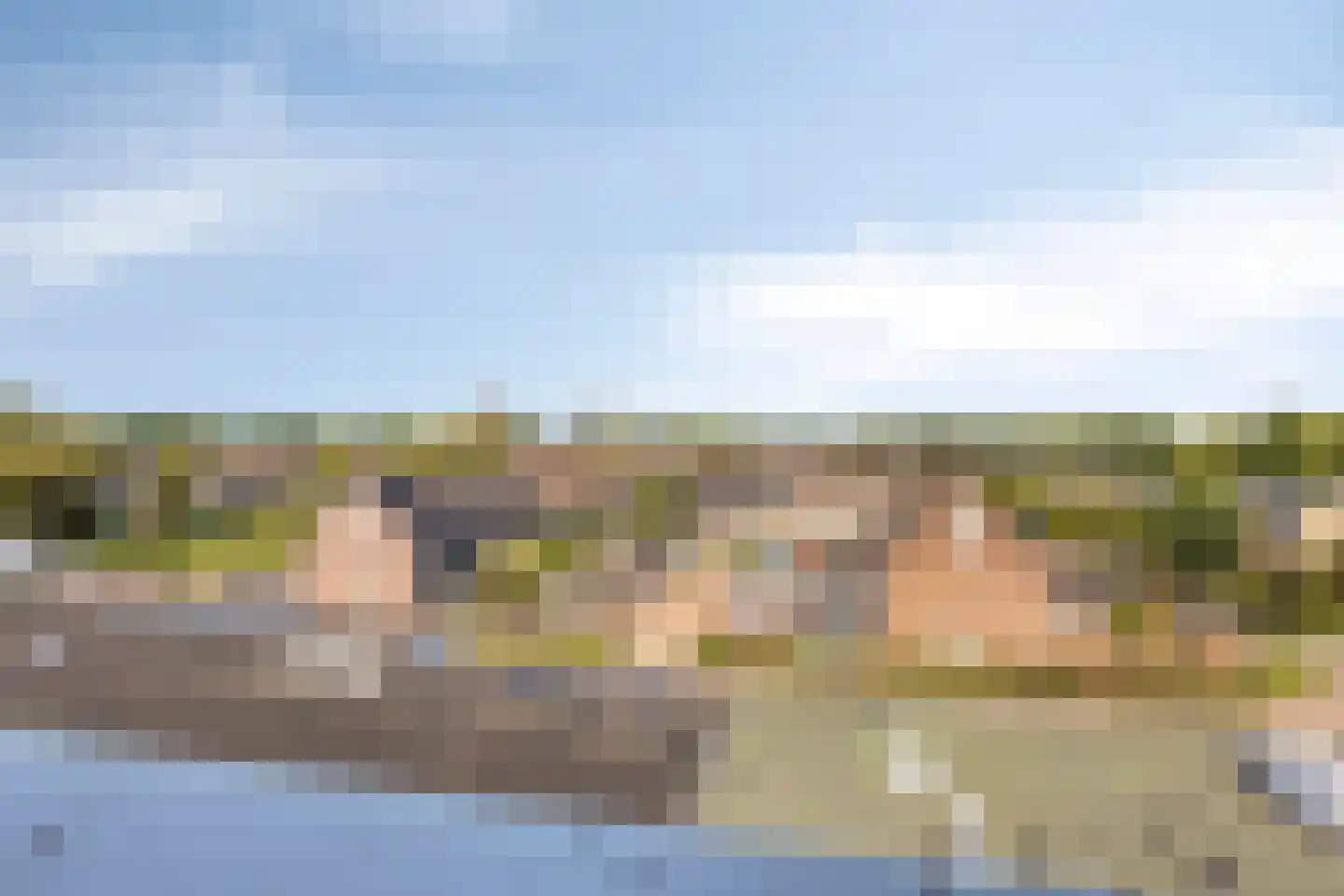 Penningkruid 24 Kampen thumbnail 34