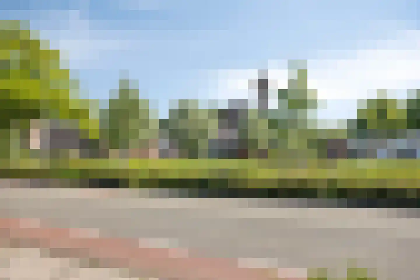 Penningkruid 24 Kampen thumbnail 38