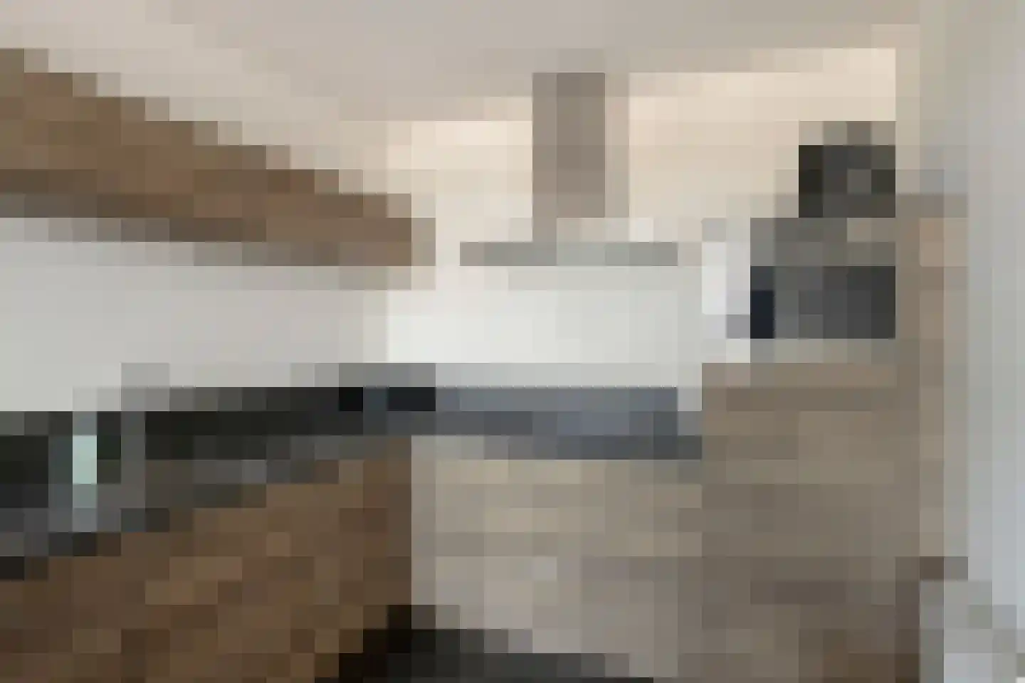 Penningkruid 24 Kampen thumbnail 4