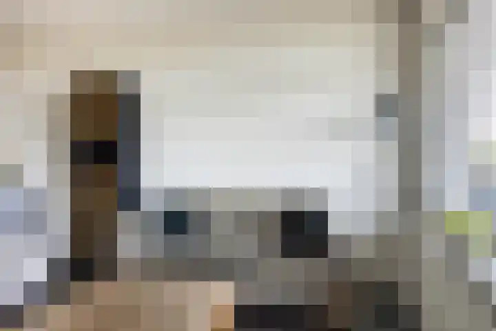 Penningkruid 24 Kampen thumbnail 5
