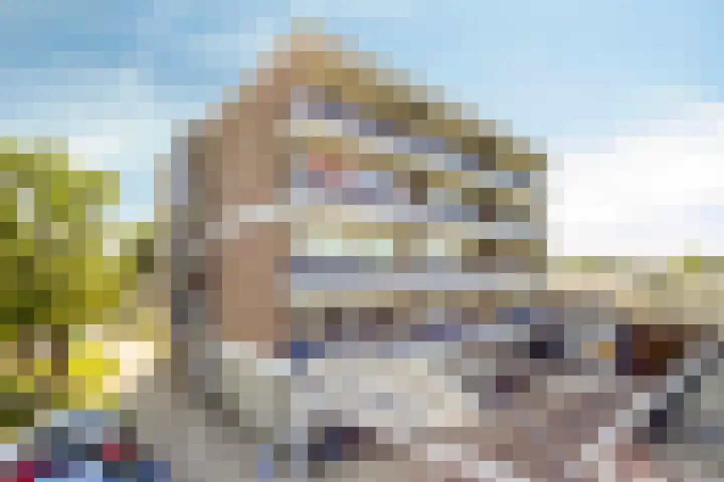 Penningkruid 24 Kampen thumbnail 6