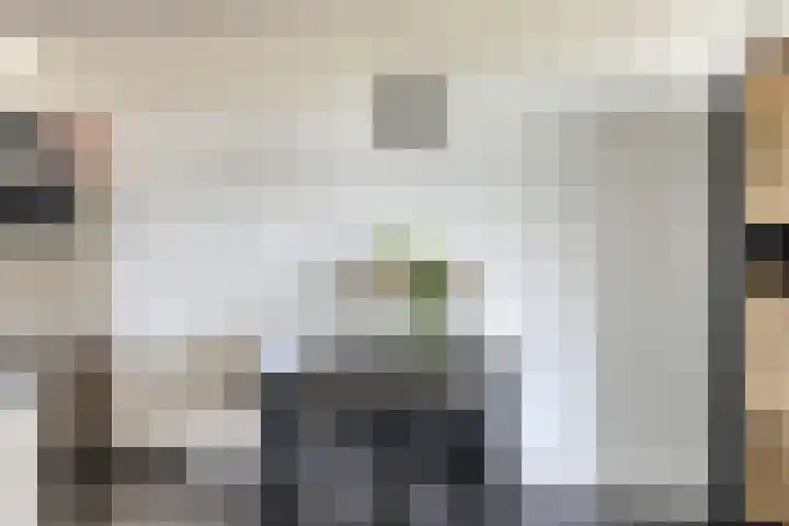 Penningkruid 24 Kampen thumbnail 7