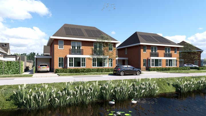 Penningkruid 25 in Vroomshoop photo