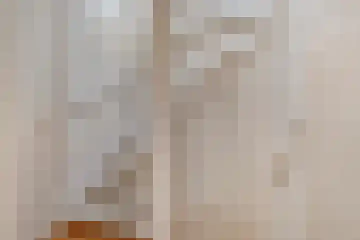 Penningkruid 25 Purmerend thumbnail 16