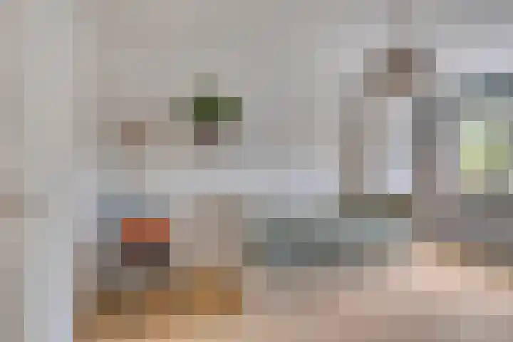 Penningkruid 25 Purmerend thumbnail 22