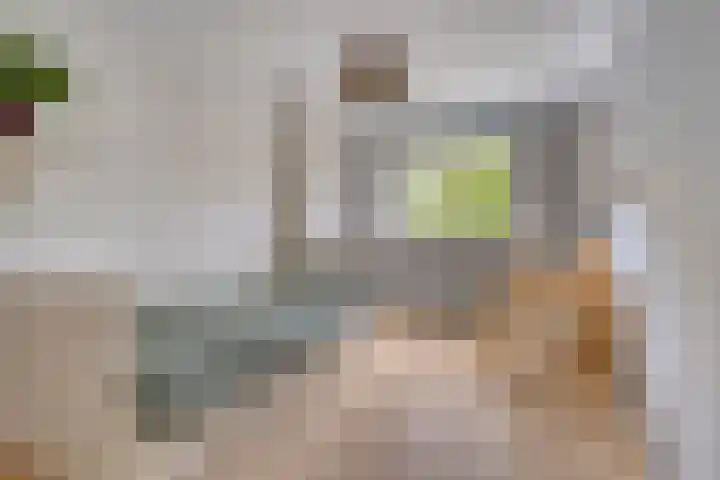 Penningkruid 25 Purmerend thumbnail 23
