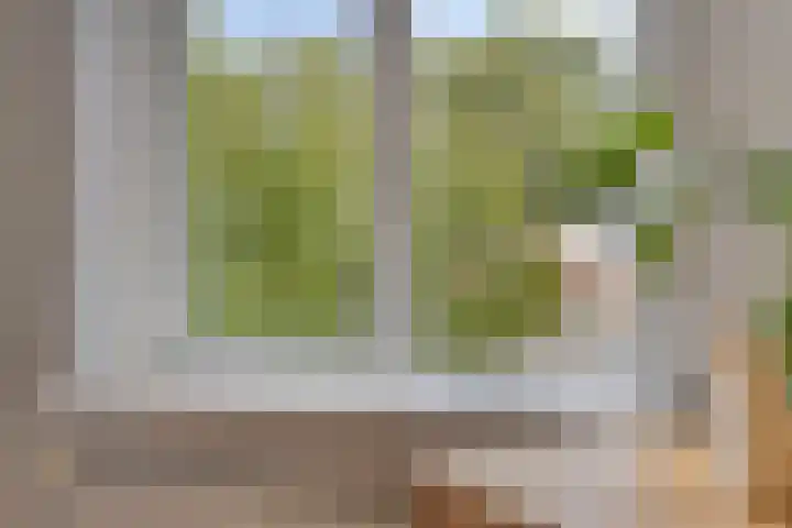 Penningkruid 25 Purmerend thumbnail 27