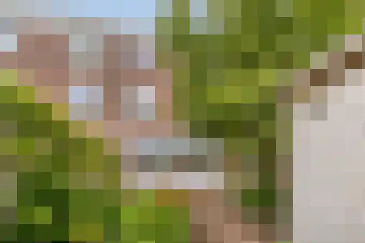 Penningkruid 25 Purmerend thumbnail 34