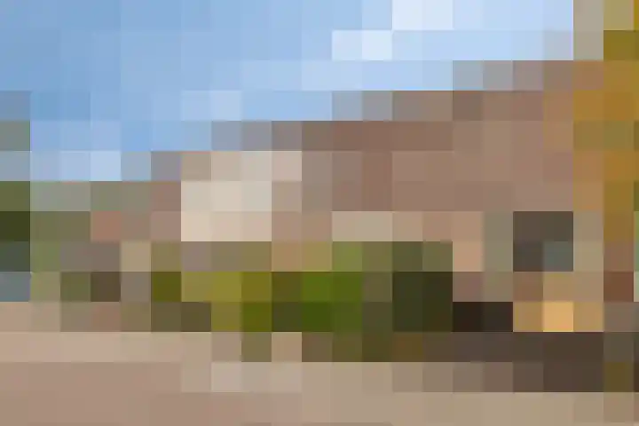 Penningkruid 25 Purmerend thumbnail 5