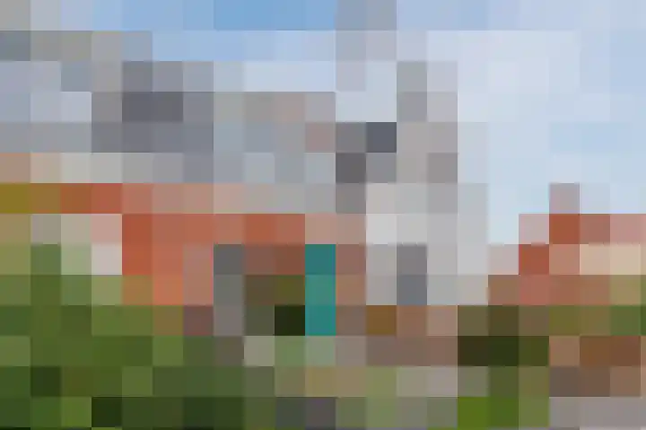 Penningkruid 27 Bodegraven